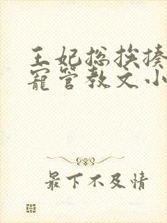 王妃总挨揍的甜宠管教文小说