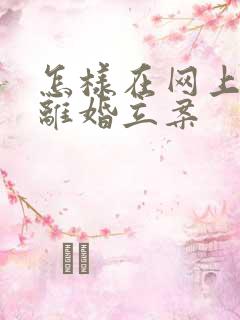 怎样在网上起诉离婚立案