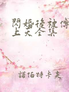 闪婚后被傅爷宠上天全集