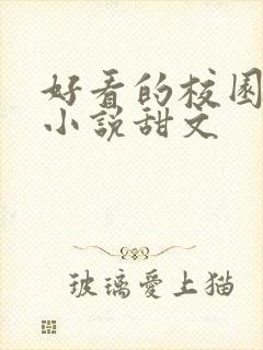 好看的校园言情小说甜文