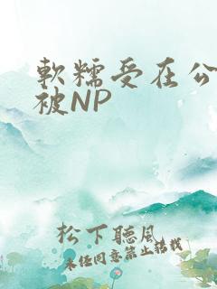 软糯受在公交车被NP