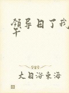 领导日了我一下午