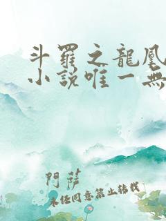 斗罗之龙凰传说小说唯一无双