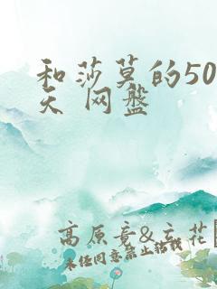 和莎莫的500天 网盘