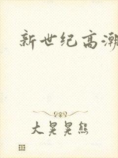 新世纪高潮战队