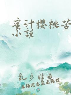 蜜汁樱桃苦咖啡小说