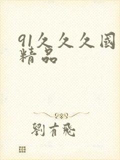 91久久久国内精品