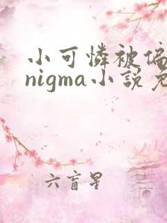 小可怜被偏执enigma小说免费阅读