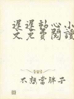 迟迟动心小说全文免费阅读无删减