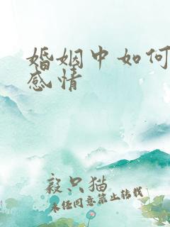 婚姻中如何挽回感情