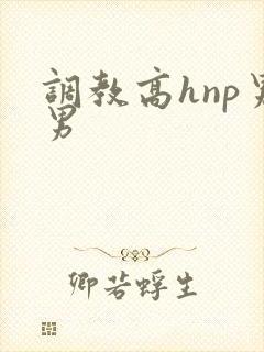 调教高hnp男男