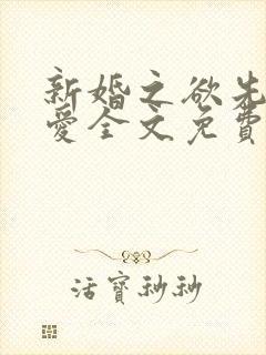 新婚之欲先婚后爱全文免费阅读