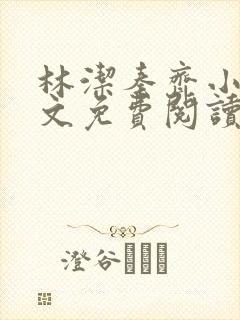 林洁秦齐小说全文免费阅读最新章节