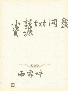 小说txt网盘资源