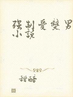 强制爱双男主的小说