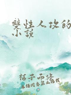 双性人攻的高h小说