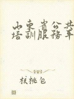 山东省公共驾驶培训服务平台