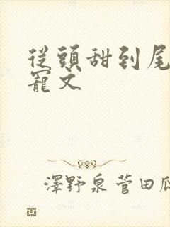 从头甜到尾的甜宠文