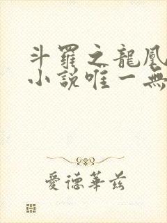 斗罗之龙凰传说小说唯一无双
