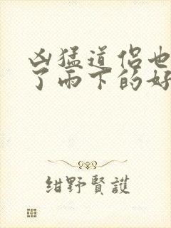 凶猛道侣也重生了雨下的好大小说