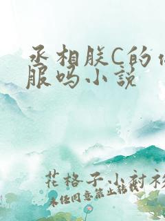 丞相朕C的你舒服吗小说