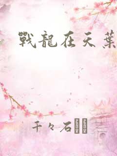 战龙在天叶凡