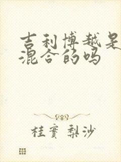 吉利博越是油电混合的吗