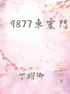 9877车震门