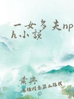 一女多夫np高h小说