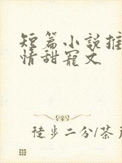 短篇小说推荐言情甜宠文