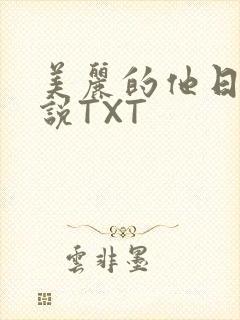美丽的他日剧小说TXT