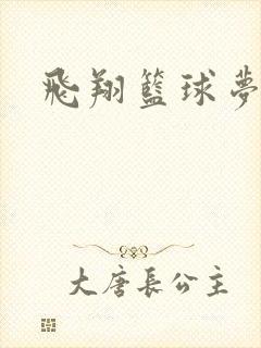 飞翔篮球梦下载