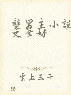 双男主小说推荐文笔好