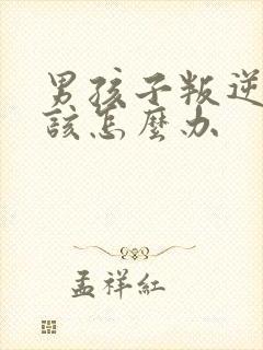 男孩子叛逆到底该怎么办