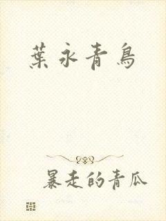 叶永青鸟