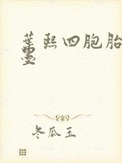 叶熙四胞胎厉子墨