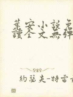 叶安小说免费阅读全文无弹窗