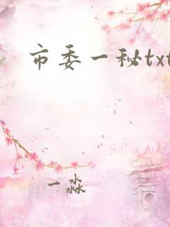 市委一秘txt