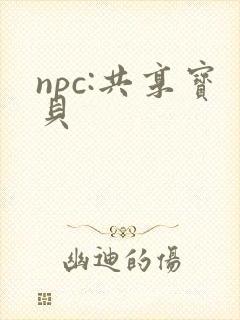 npc:共享宝贝