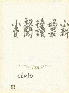 小黎后妈小说免费阅读最新章节更新