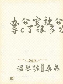 办公室被公司领导c了很多次