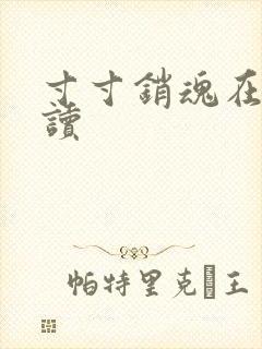 寸寸销魂在线阅读