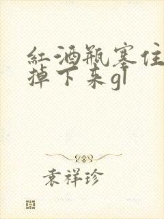 红酒瓶塞住不准掉下来gl