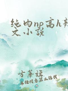 纯肉np高h辣文小说