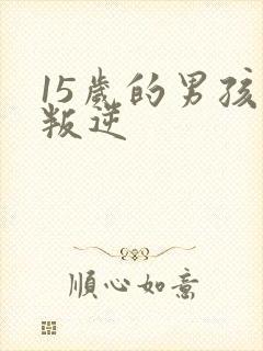 15岁的男孩子叛逆