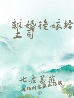 离婚后嫁给前夫上司