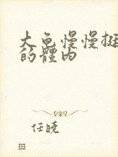 大龟慢慢挺进我的体内