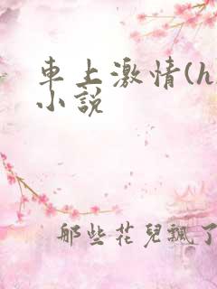 车上激情(h)小说