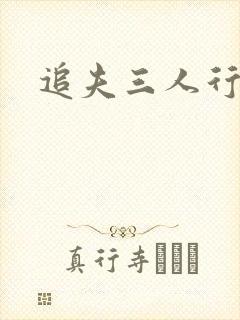 追夫三人行