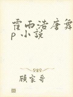 霍雨浩唐舞麟cp 小说